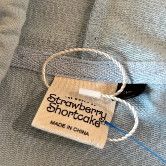 Strawberry Shortcake Blue Hoodie - Picture 2 of 3